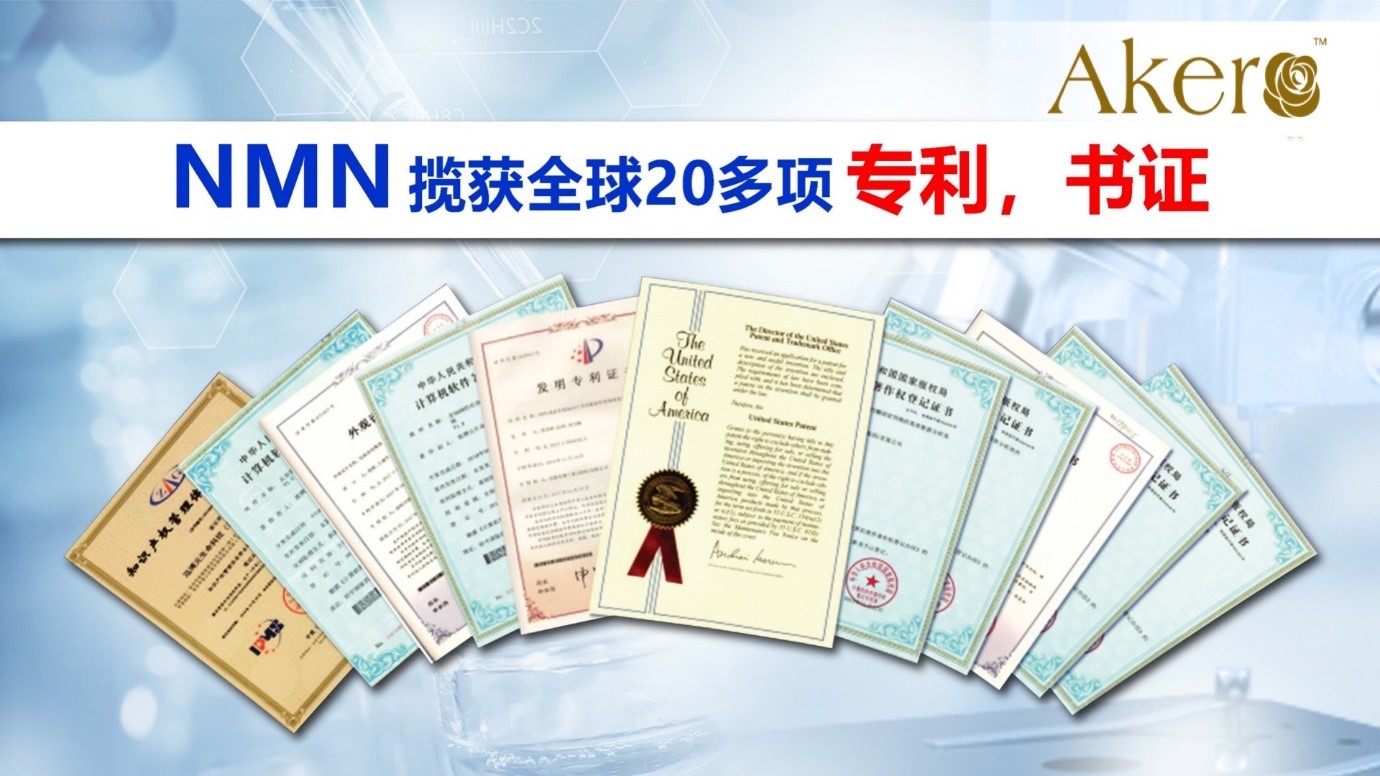 nmn28.jpg